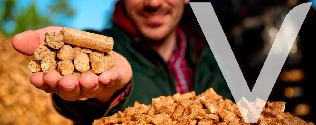 Man holding a biomass pellet in the foreground, showcasing an eco-friendly alternative energy source.